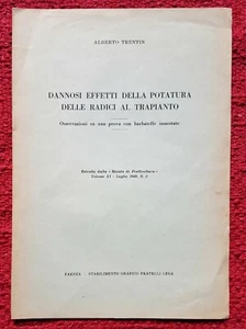 6166-ALBERTO TRENTIN,DANNOSI EFFETTI DELLA POTATURA DELLE RADICI AL TRAPIANTO,49 - Picture 1 of 2
