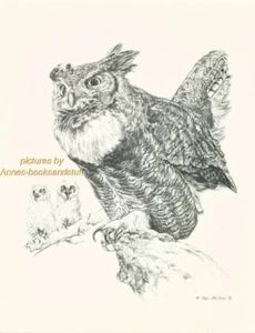 #134 HORNED OWL + CHICKS * wildlife art print * pen & ink drawing by Jan Jellins - Picture 1 of 1