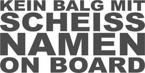Kein Balg mit scheiss Namen on Board 10x19 cm - Aufkleber FUN Sticker OEM - Bild 1 von 2