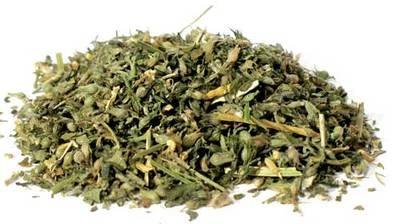 ERBA GATTA Bio* GATTAIA Nepeta Cataria Pianta Taglio Tisana 100 g Gattaria