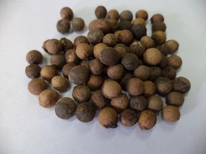Organic White Sandalwood Seeds Indian Sandal wood Chandan Sri Ganda Tree ll - Picture 1 of 11