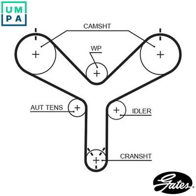 TIMING BELT T298 FOR HONGQI LEXUS TOYOTA SEQUOIA 4/RUNNER/SUV HILUX/SURF LAND - Image 1 of 4