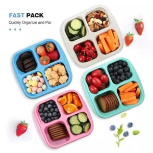 Compartment Bento Snack Box Set (4pcs) - Reusable Grid Divided Containers for UK - Picture 1 of 7