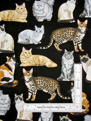 Cat Feline Kitty Cats Pet Animal Cotton Fabric Timeless Treasures C8050 By Yard - Image 1 of 4