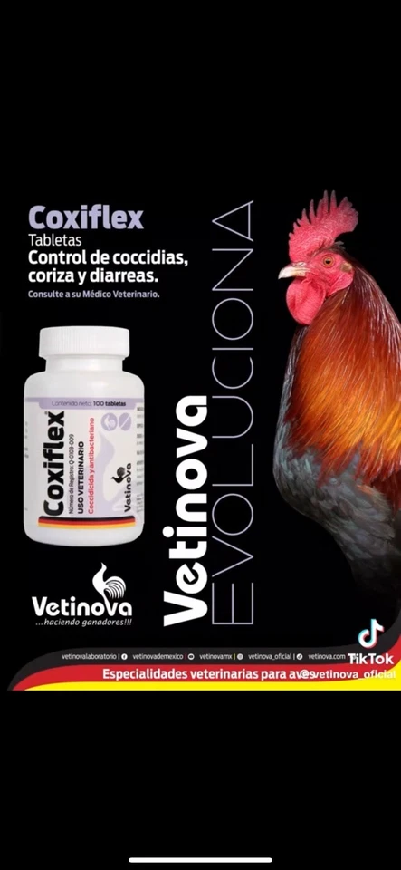 Coxiflex 100 Comprimidos Para Infecciones Avícolas (Coccidicida y antibacteriano) Foto 1 de 4