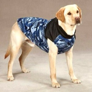 Las mejores en perro azul Casual Canine eBay