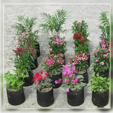 1pc 3 Gallon Round Plant Grow Bag Fabric Pots Root Container Aeration Container