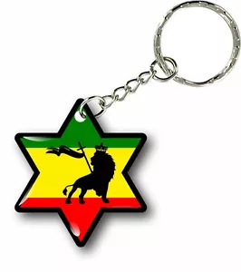 Schlüsselanhänger Schlüsselring Schlüsselring Auto Rasta Flagge Jamaika Rastafarai Stern Löwe von Juda - Bild 1 von 1