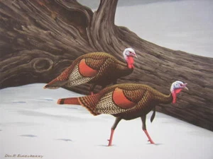 Don Eckelberry Wild Turkey Hen & Gobbler Signed Art Print - Picture 1 of 1