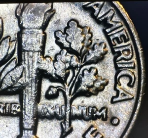 1982 P Roosevelt Dime-MISSING PARTIAL COLLAR-DOUBLE DIE REVERSE 🔥🔥 - Picture 1 of 7