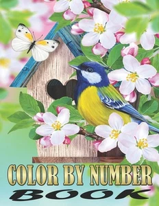 Color By Number Book: Activity Fun Coloring Page for Teens and Adults, Easy Desi - Picture 1 of 1