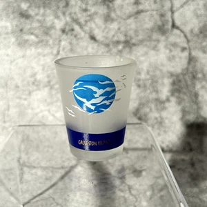 Galveston Island Schnapsglas mit Möwen - Bild 1 von 3