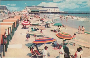 Stockton Beach Cape May New Jersey sunbathers beach postcard D329 - Picture 1 of 2