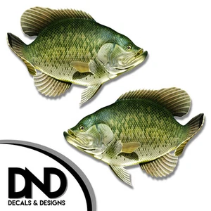Crappie - Fish Decal Fishing Tackle Box Bumper Sticker "5in SET" F-0130 D& - Picture 1 of 1