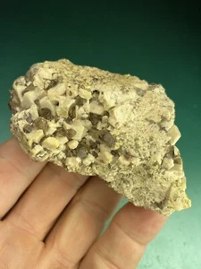 Rauchquarz und Mikroklin Kristalle in Matrix Vug Graben Berg New Hampshire - Bild 1 von 6