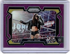 Jacy Jayne 2024 Panini Prizm WWE Purple Prizm #100 WWE NXT #073/149 - Bild 1 von 2