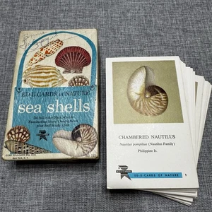 ED-U-CARDS of Natur Sea Shells 54 Full Color Flash Cards Vintage 1961 Education - Bild 1 von 22