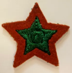 INSIGNIA DE CALIFICACIÓN DE CONDUCTORES DEL CUERPO DEL EJÉRCITO REAL PARA MUJER 0R ESTRELLA DISTINCIÓN DE CURSO. - Imagen 1 de 1