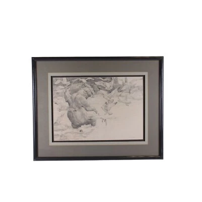 Oso pardo luchador gaviotas salmón captura dibujo vintage firmado ilegible Foto 1 de 4