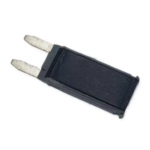 Polaris Circuit Breaker 10 Amp Fuse, 4011371 - Picture 1 of 1