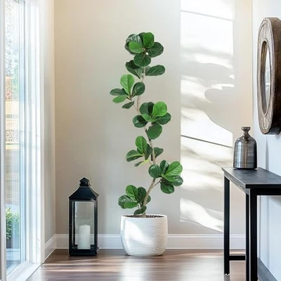 Hoja de violín artificial higuera - planta falsa de 6 pies con negro 6 pies verde 6 pies Foto 1 de 4