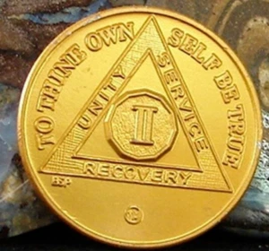 Alcoholics Anonymous AA 2 Year Aluminum Medallion Coin Chip Token Sobriety Sober - Picture 1 of 4