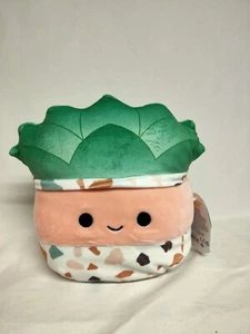 Malvaviscos Abena La Planta Suculenta 8 Pulgadas 20cm por Kellytoy Squishmallow - Imagen 1 de 5