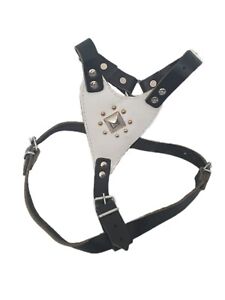 Heavy Duty Black Real Leather Dog Harness white silver staffordshire, bull dogs 