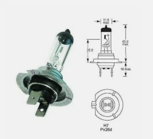 100  Halogen Light Bulbs,  12V 55W  _H-7 Headlight Bulbs, Wholesale, Bulk - Bild 1 von 1