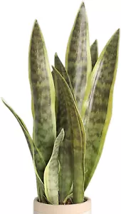 XZJMY Fake Snake Plant 16.5" Artificial Sansevieria for Home Green Decoration - Picture 1 of 12