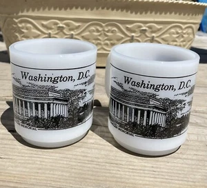 Tazza da caffè vintage Washington DC souvenir tazza vetro latte bianco e nero set di 2 - Foto 1 di 12
