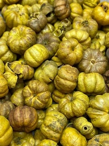 Dollhouse Miniature Pumpkins (Yellow) - Set of 20 - 1:12 Scale - Picture 1 of 4