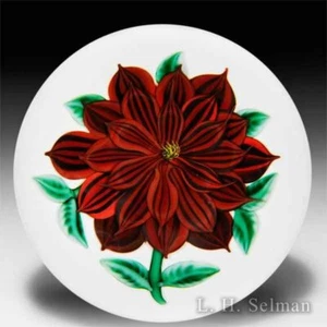 Randall Grubb 1988 red dahlia on white ground glass paperweight  - Picture 1 of 2