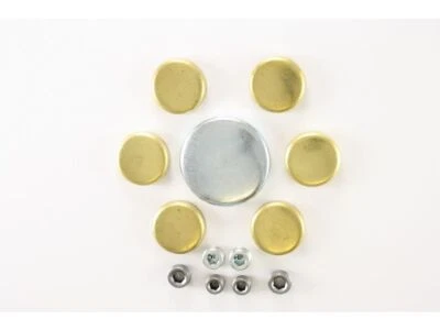 Kit de tapones de expansión para Ford F250 1973-1979, 1983-1996 71264FYQM 1993 1974 1975 Foto 1 de 2