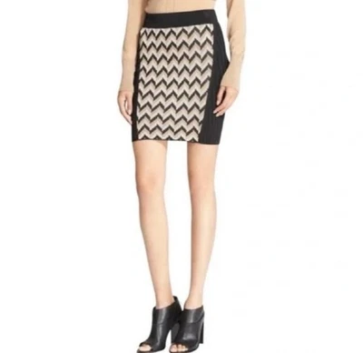 NWT Rag & Bone Women Skirt Pumice Elaine Chevron Size S - Image 1 of 4