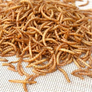 250～1000g Dried Mealworms for Koi, Pond Fish, Large Fish, Turtle, Birds, Reptile - Foto 1 di 2