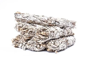 California White Sage Smudge Incense 10" Bundle (8 pcs) #JC-145 - Picture 1 of 5