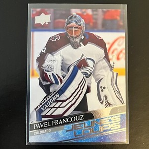 2020-21 Upper Deck Young Guns Rookie French Jeunes Loups #249 Pavel Francouz