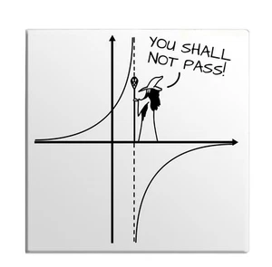 You Shall Not Pass Funny Math Joke Geometry Asymptote Graph Fridge Door Magnet - Picture 1 of 7