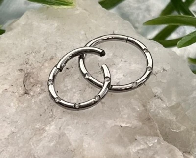 Anillo de segmento con bisagras de cinco gemas al ras 16 g clicker de tabique acero quirúrgico 316L 1 pieza Foto 1 de 4