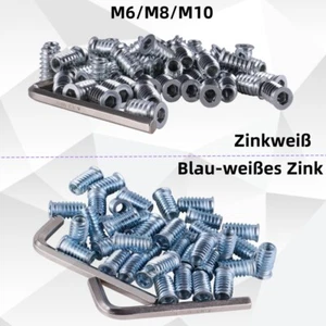 Einschraubmuffen Muffen Einschraubmuttern Gewindemuffe Sechskant M6 M8 M10 - Bild 1 von 23