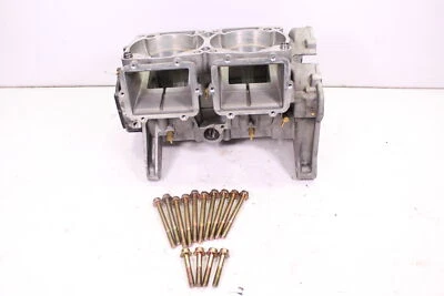 Polaris Pro RMK 800 2019 cárter Axys/carcasas del motor principal Foto 1 de 4