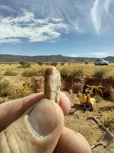 1 Pfund New Mexico 24k Solid Gold Untampered Paydirt - Panning Treasure Nuggets - Bild 1 von 24