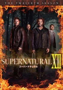 SUPERNATURAL XII Twelve Seasons DVD Complete Box (12 Discs) - Foto 1 di 5