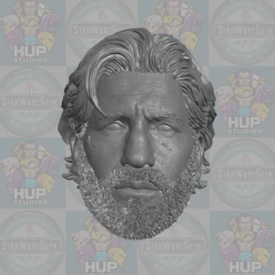 HEAD UP STUDIOS John Bernthal Punisher v2 custom head for 1:6 1:10 1:12 1:18 Marvel figures