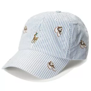 Polo Ralph Lauren Unisex Curved Brim Classic Adjustable Hat Cap Striped Blue - Picture 1 of 2