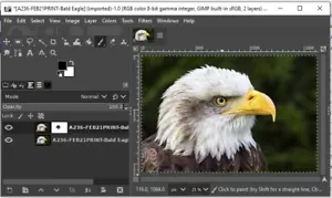 Professional Image Editing Software 2024 - Advanced Photo Editor - Picture 1 of 9