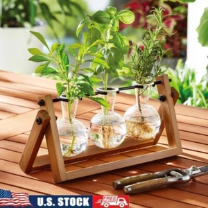 Wooden Propagation Station Set W/ 3 Glass Vases Indoor Plant Display Stand New - Picture 1 of 10