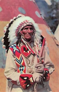 Indian Chieftan Utah(?)  Vintage PC - Picture 1 of 2
