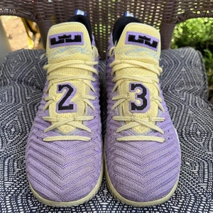 NIKE LEBRON 16 Shoes Men 10.5 Low LAKER'S HERITAGE Championships CK4765-500 WORN - Picture 1 of 17